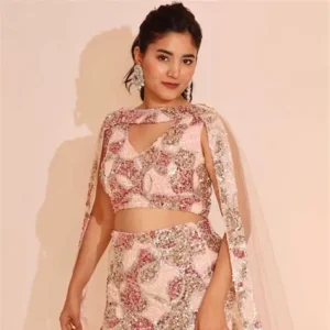 Mermaid or Fishtail Lehenga