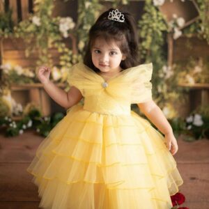 Party Wear/Ball Gown Frock